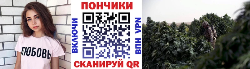 Купить закладку АМФЕТАМИН  Конопля  СК  Меф  КОКАИН  Гашиш  Лихославль