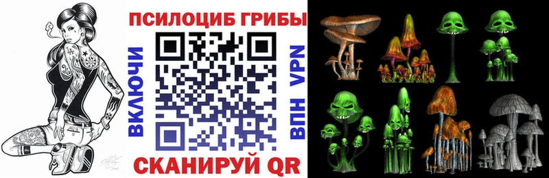Галлюциногенные грибы мицелий  Купить где  Лихославль 